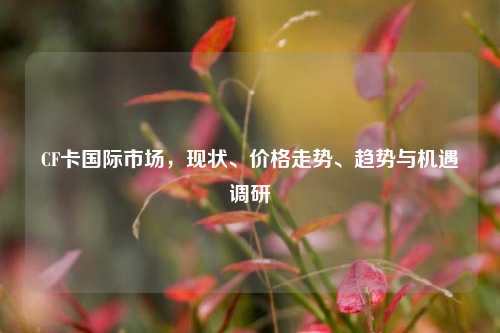 CF卡国际市场,现状、价格走势、趋势与机遇调研
