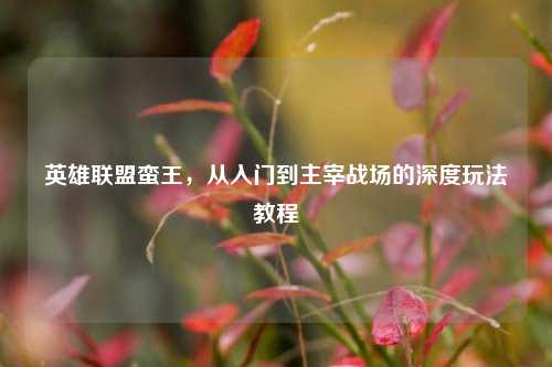 英雄联盟蛮王,从入门到主宰战场的深度玩法教程