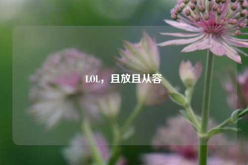 LOL,且放且从容