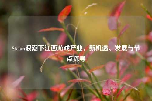 Steam浪潮下江西游戏产业,新机遇、发展与节点探寻