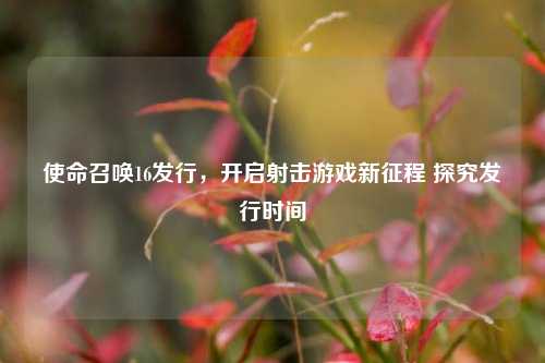 使命召唤16发行,开启射击游戏新征程 探究发行时间