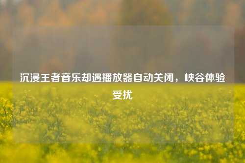 沉浸王者音乐却遇播放器自动关闭，峡谷体验受扰