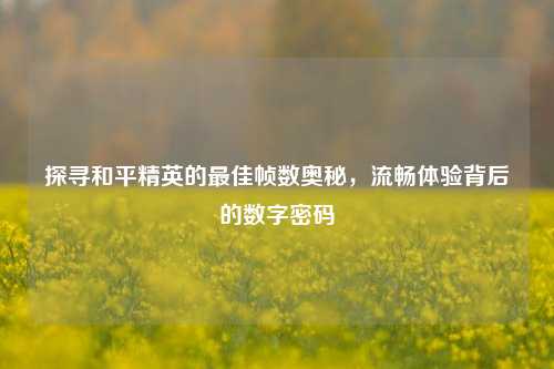 探寻和平精英的最佳帧数奥秘,流畅体验背后的数字密码