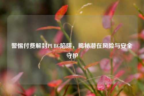 警惕付费解封PUBG陷阱,揭秘潜在风险与安全守护