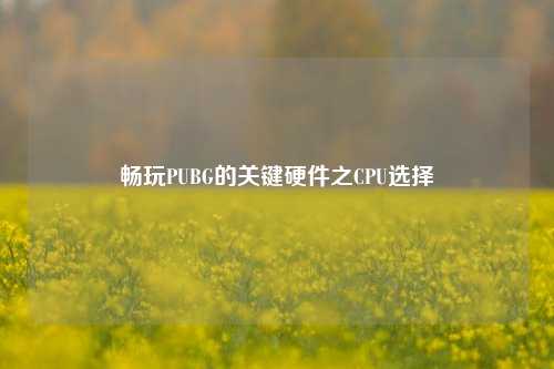 畅玩PUBG的关键硬件之CPU选择