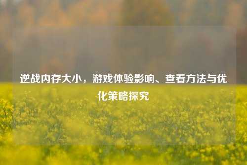 逆战内存大小,游戏体验影响、查看方法与优化策略探究