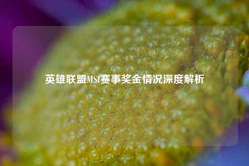 英雄联盟MSI赛事奖金情况深度解析