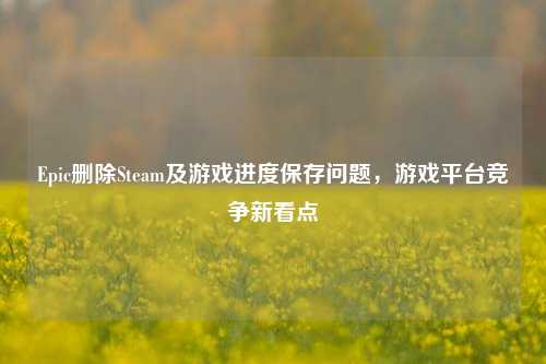 Epic删除Steam及游戏进度保存问题,游戏平台竞争新看点