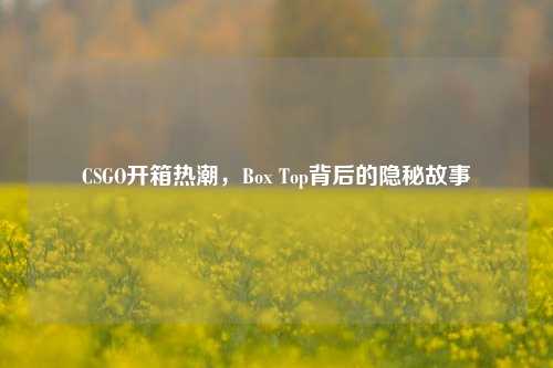 CSGO开箱热潮,Box Top背后的隐秘故事