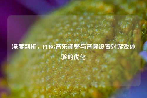 深度剖析，PUBG音乐调整与音频设置对游戏体验的优化
