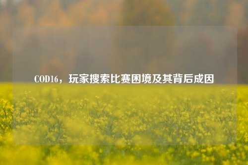 COD16，玩家搜索比赛困境及其背后成因