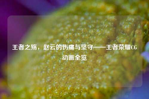 王者之殇,赵云的伤痛与坚守——王者荣耀CG动画全览
