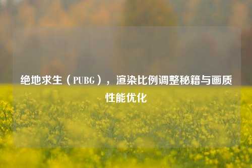 绝地求生（PUBG），渲染比例调整秘籍与画质性能优化
