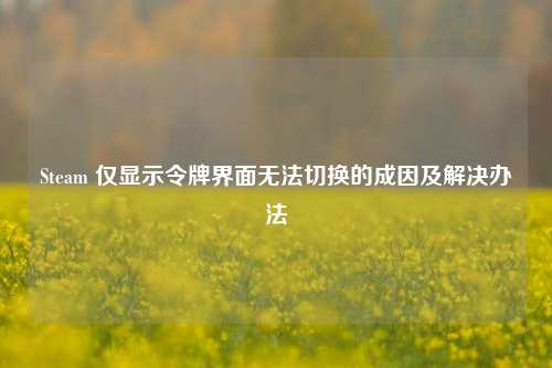 Steam 仅显示令牌界面无法切换的成因及解决办法