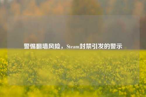 警惕翻墙风险,Steam封禁引发的警示