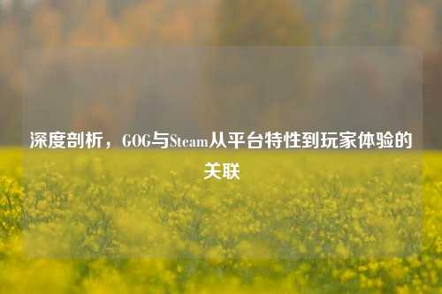 深度剖析,GOG与Steam从平台特性到玩家体验的关联