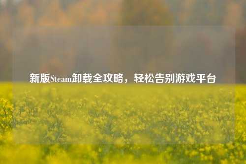 新版Steam卸载全攻略,轻松告别游戏平台
