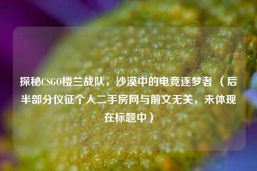 探秘CSGO楼兰战队，沙漠中的电竞逐梦者 （后半部分仪征个人二手房网与前文无关，未体现在标题中）