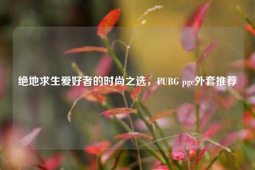 绝地求生爱好者的时尚之选，PUBG pgc外套推荐