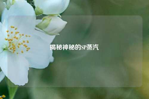 揭秘神秘的SP蒸汽