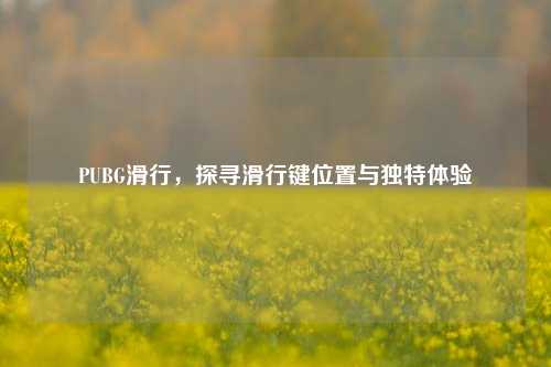 PUBG滑行,探寻滑行键位置与独特体验