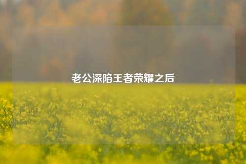 老公深陷王者荣耀之后