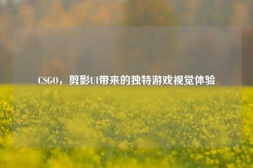 CSGO,剪影UI带来的独特游戏视觉体验