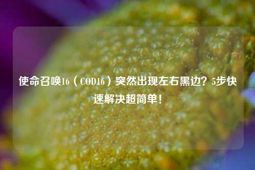 使命召唤16(COD16)突然出现左右黑边?5步快速解决超简单!