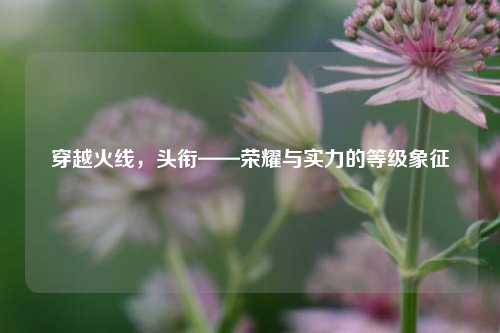穿越火线,头衔——荣耀与实力的等级象征