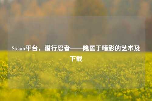 Steam平台，潜行忍者——隐匿于暗影的艺术及下载