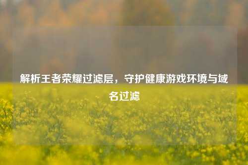 解析王者荣耀过滤层，守护健康游戏环境与域名过滤