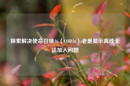 探索解决使命召唤16(COD16)老是显示离线无法加入问题