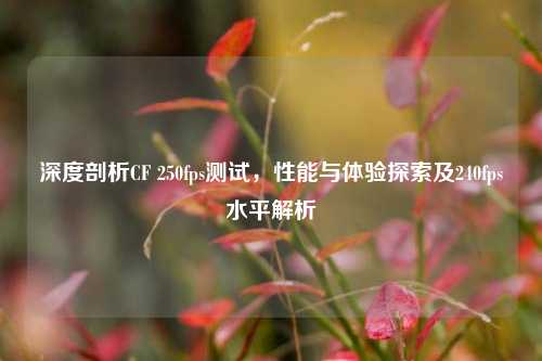 深度剖析CF 250fps测试,性能与体验探索及240fps水平解析