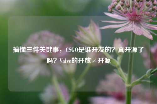 搞懂三件关键事,CSGO是谁开发的?真开源了吗?Valve的开放≠开源