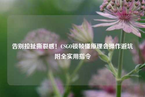 告别拉扯撕裂感！CSGO锁帧懂原理会操作避坑附全实用指令