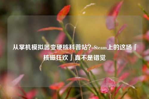 从掌机模拟器变硬核科普站?Steam上的这场「核磁狂欢」真不是错觉
