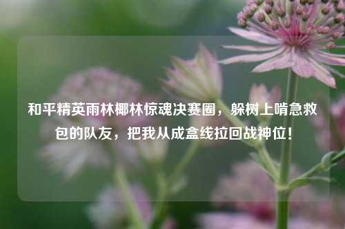 和平精英雨林椰林惊魂决赛圈,躲树上啃急救包的队友,把我从成盒线拉回战神位!