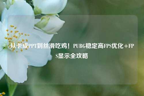 从卡成PPT到丝滑吃鸡!PUBG稳定高FPS优化+FPS显示全攻略