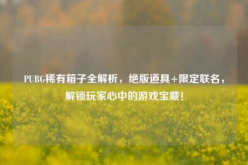 PUBG稀有箱子全解析,绝版道具+限定联名,解锁玩家心中的游戏宝藏!
