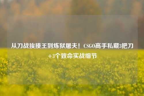 从刀战挨揍王到炼狱屠夫!CSGO高手私藏3把刀+3个致命实战细节