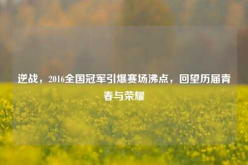 逆战,2016全国冠军引爆赛场沸点,回望历届青春与荣耀