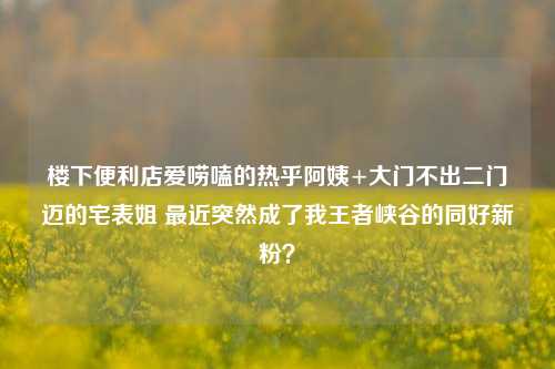 楼下便利店爱唠嗑的热乎阿姨+大门不出二门迈的宅表姐 最近突然成了我王者峡谷的同好新粉?