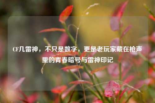 CF几雷神,不只是数字,更是老玩家藏在枪声里的青春暗号与雷神印记