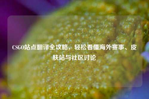 CSGO站点翻译全攻略，轻松看懂海外赛事、皮肤站与社区讨论