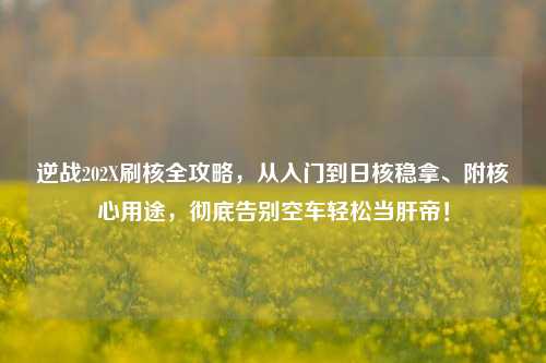 逆战202X刷核全攻略,从入门到日核稳拿、附核心用途,彻底告别空车轻松当肝帝!