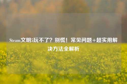 Steam文明5玩不了?别慌!常见问题+超实用解决方法全解析