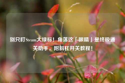 别只盯Steam大绿标!角落这「眼睛」是终极通关助手,附斜杠开关教程!