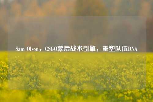 Sam Olson,CSGO幕后战术引擎,重塑队伍DNA