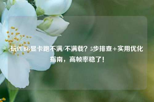 玩PUBG显卡跑不满/不满载?5步排查+实用优化指南,高帧率稳了!