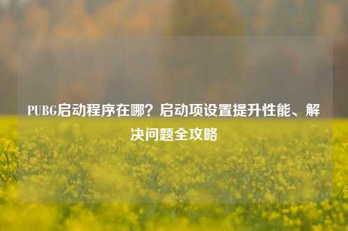PUBG启动程序在哪?启动项设置提升性能、解决问题全攻略